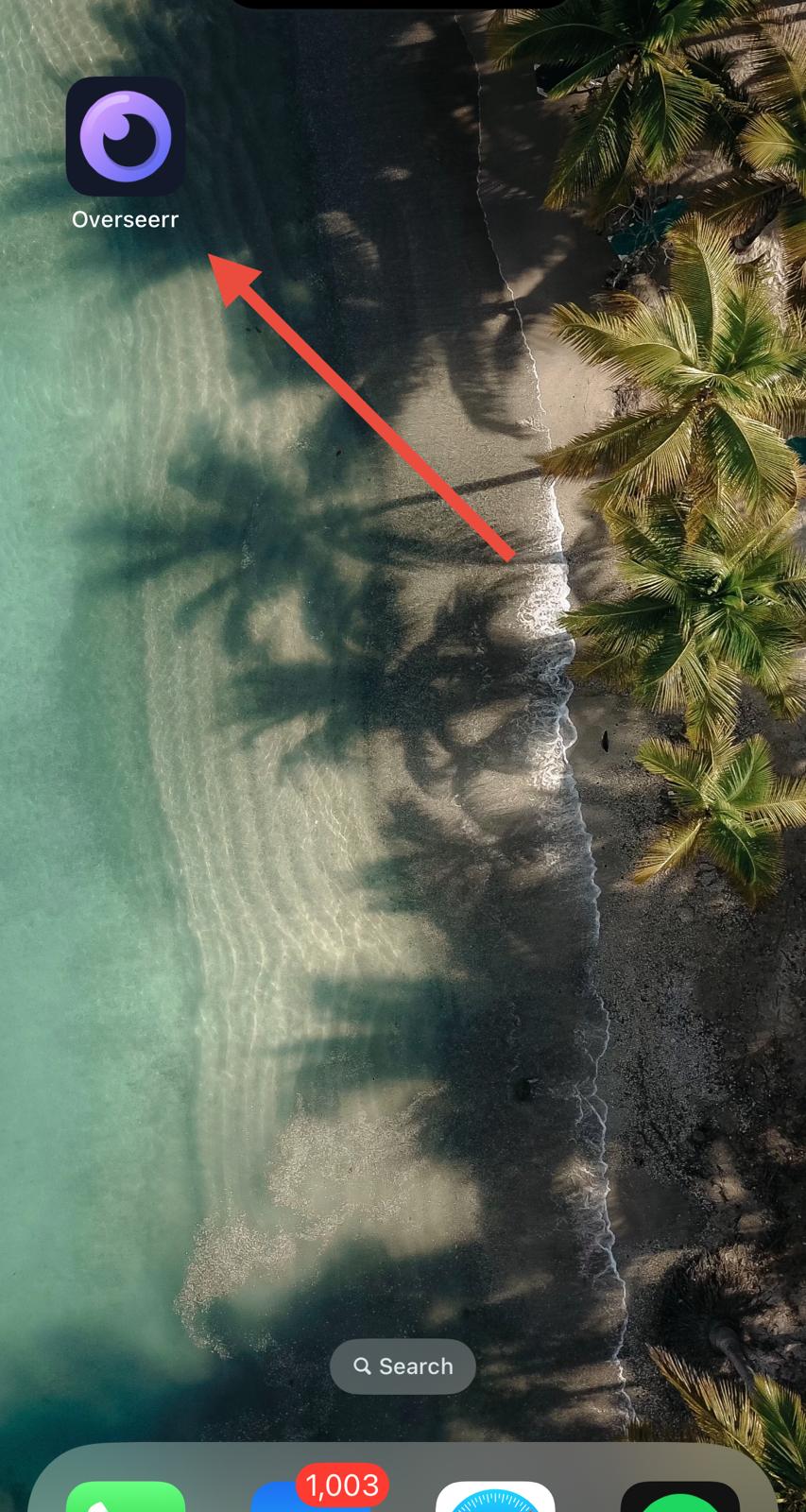 Overseerr Home Screen Icon